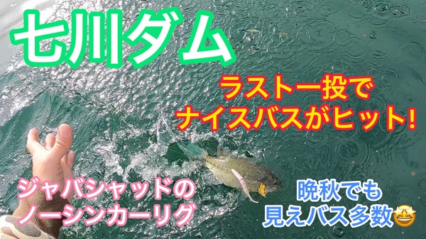 葛の葉店スタッフ　七川ダム釣果情報　【２０２２年１１月３０日】サムネイル