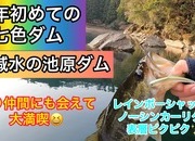 葛の葉店スタッフ　七色ダム釣果情報　【２０２３年３月８日】サムネイル