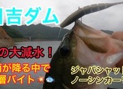葛の葉店スタッフ　日吉ダム釣果情報　【２０２３年７月５日】サムネイル