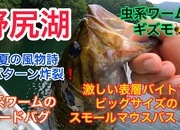 葛の葉店スタッフ　「番外編」野尻湖スモールマウスバス釣果情報（二日目）【２０２３年７月１３日】サムネイル