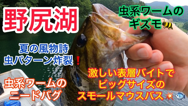 葛の葉店スタッフ　「番外編」野尻湖スモールマウスバス釣果情報（二日目）【２０２３年７月１３日】サムネイル