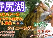 葛の葉店スタッフ　「番外編」野尻湖スモールマウスバス釣果情報（一日目）【２０２３年７月１２日】サムネイル