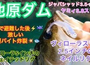 葛の葉店スタッフ　池原ダム釣果情報　【２０２３年７月２７日】サムネイル