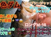 葛の葉店スタッフ　七色ダム釣果情報　【２０２３年７月２６日】サムネイル