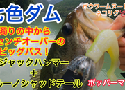 葛の葉店スタッフ　七色ダム釣果情報　【２０２３年８月２３日】サムネイル