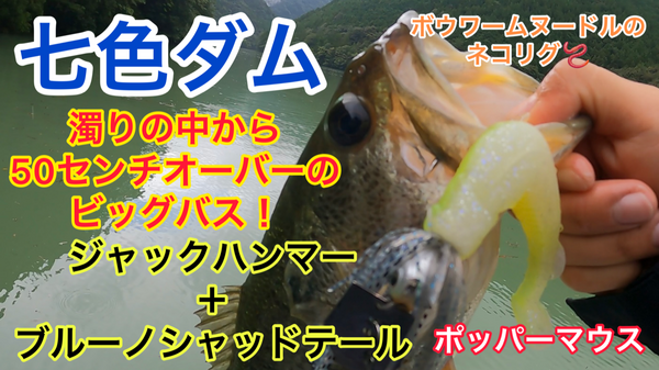 葛の葉店スタッフ　七色ダム釣果情報　【２０２３年８月２３日】サムネイル