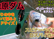 葛の葉店スタッフ　池原ダム釣果情報　【２０２３年９月７日】サムネイル