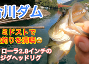 葛の葉店スタッフ　合川ダム釣果情報　【２０２３年１０月１８日】サムネイル