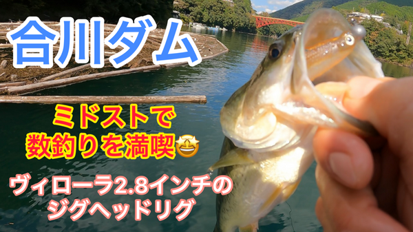 葛の葉店スタッフ　合川ダム釣果情報　【２０２３年１０月１８日】サムネイル