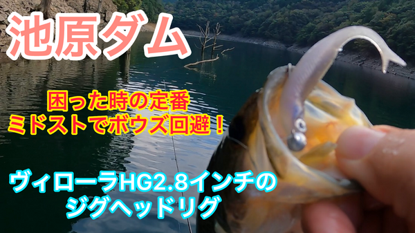 葛の葉店スタッフ　池原ダム釣果情報　【２０２３年１０月２６日】サムネイル