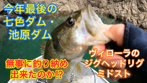 葛の葉店スタッフ　池原ダム釣果情報　【２０２３年１２月１４日】サムネイル