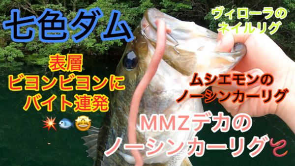 葛の葉店スタッフ　七色ダム釣果情報　【２０２４年７月３日】サムネイル