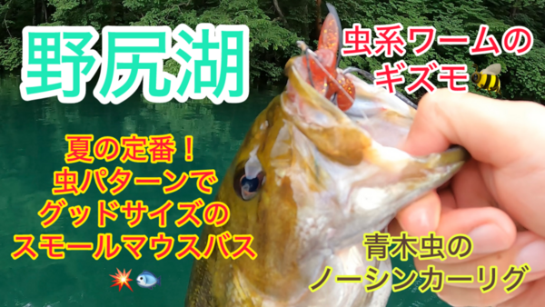 葛の葉店スタッフ　「番外編」野尻湖スモールマウスバス釣果情報（一日目）【２０２４年７月１７日】サムネイル