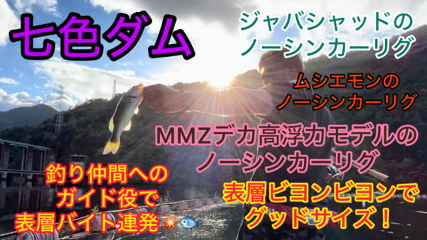 葛の葉店スタッフ　七色ダム釣果情報　【２０２４年９月１１日】サムネイル