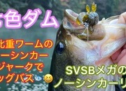 葛の葉店スタッフ　七色ダム釣果情報　【２０２４年１２月４日】サムネイル