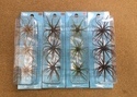 【新製品入荷情報☆第７弾☆】「ハイドアップ 旧コイケ［Feco仕様］（未入荷色）」が入荷いたしました！（葛の葉店）サムネイル