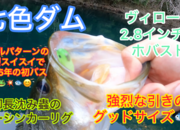 葛の葉店スタッフ　七色ダム釣果情報　【２０２５年３月２６日】サムネイル