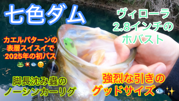葛の葉店スタッフ　七色ダム釣果情報　【２０２５年３月２６日】サムネイル