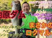 葛の葉店スタッフ　池原ダム釣果情報　【２０２５年５月８日】サムネイル