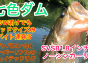 葛の葉店スタッフ　七色ダム釣果情報　【２０２５年５月７日】サムネイル