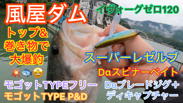 葛の葉店スタッフ　風屋ダム釣果情報　【２０２５年５月２９日】サムネイル