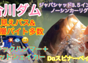 葛の葉店スタッフ　合川ダム釣果情報　【２０２５年５月２８日】サムネイル
