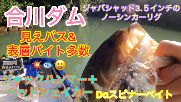 葛の葉店スタッフ　合川ダム釣果情報　【２０２５年５月２８日】サムネイル