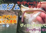 葛の葉店スタッフ　池原ダム釣果情報　【２０２５年６月２６日】サムネイル