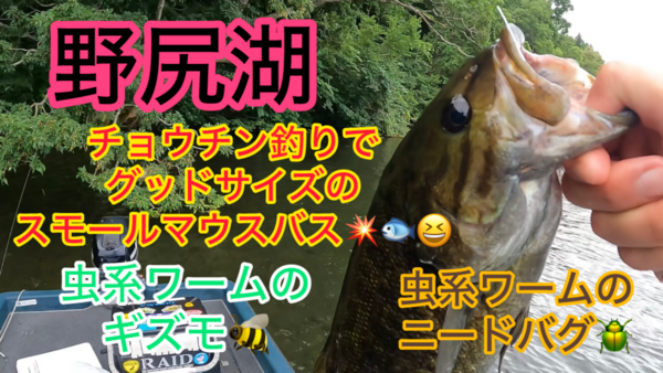 葛の葉店スタッフ　「番外編」野尻湖スモールマウスバス釣果情報（二日目）【２０２５年７月１７日】サムネイル