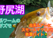 葛の葉店スタッフ　「番外編」野尻湖スモールマウスバス釣果情報（一日目）【２０２５年７月１６日】サムネイル