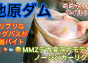 葛の葉店スタッフ　池原ダム釣果情報　【２０２５年８月７日】サムネイル