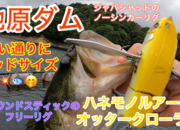 葛の葉店スタッフ　池原ダム釣果情報　【２０２５年９月１１日】サムネイル