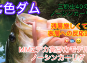 葛の葉店スタッフ　七色ダム釣果情報　【２０２５年９月１０日】サムネイル