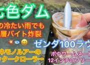 葛の葉店スタッフ　七色ダム釣果情報　【２０２５年１０月２２日】サムネイル