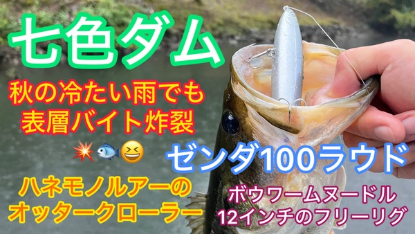 葛の葉店スタッフ　七色ダム釣果情報　【２０２５年１０月２２日】サムネイル