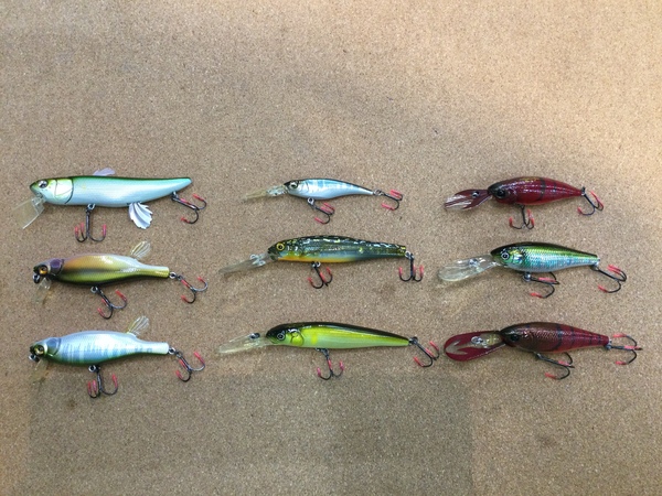 【最新釣具買取情報】「人気メーカーメガバスのルアー！」買取り入荷致しました。（つりどうぐ一休　葛の葉店）サムネイル