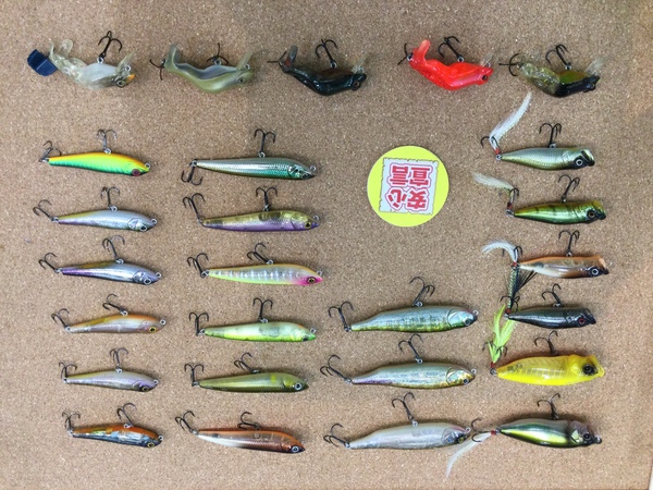 狭山店　本日の釣具買取商品！「メガバスルアーが、買取入荷しました！」（狭山店）サムネイル