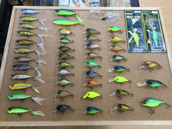 【最新釣具買取情報☆第５弾☆】「人気メーカーメガバスのルアー多数！」買取り入荷致しました。（つりどうぐ一休　葛の葉店）サムネイル