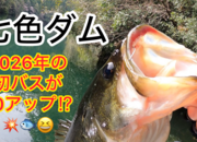 葛の葉店スタッフ　七色ダム釣果情報　【２０２６年３月１８日】サムネイル