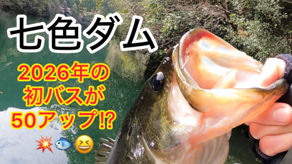 葛の葉店スタッフ　七色ダム釣果情報　【２０２６年３月１８日】サムネイル