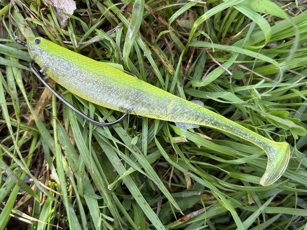 守山店スタッフ【2026年4月6日】琵琶湖釣果情報！つりどうぐ一休滋賀守山店サムネイル