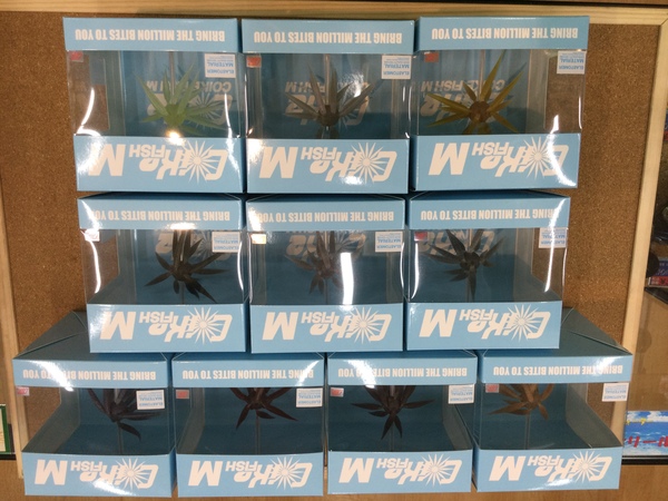 狭山店【新製品入荷情報】「ハイドアップ　コイケフィッシュ　Ｍ　エラストマー（新製品・１０色新入荷）が、入荷しました！」（狭山店）サムネイル