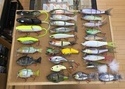 【最新釣具買取情報☆第４弾☆】「人気メーカーのビッグベイトを多数！」買取り入荷致しました。（つりどうぐ一休　葛の葉店）サムネイル
