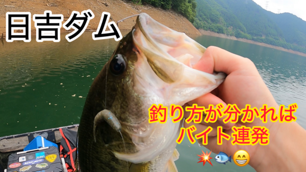 葛の葉店スタッフ　日吉ダム釣果情報　【２０２６年７月１日】サムネイル
