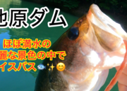 葛の葉店スタッフ　池原ダム釣果情報　【２０２６年７月９日】サムネイル