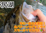 葛の葉店スタッフ　「番外編」野尻湖スモールマウスバス釣果情報【２０２５年８月５日、６日】サムネイル