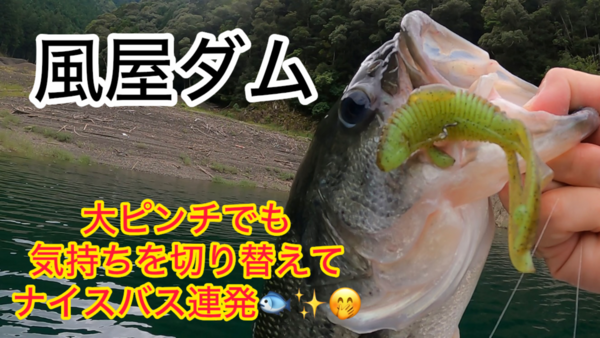 葛の葉店スタッフ　風屋ダム釣果情報　【２０２６年９月１７日】サムネイル
