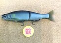 狭山店　本日の釣具買取商品　第３弾！「ガンクラフト　ジョインテッドクロー３０３　尺ＯＮＥが、買取入荷しました！」（狭山店）サムネイル